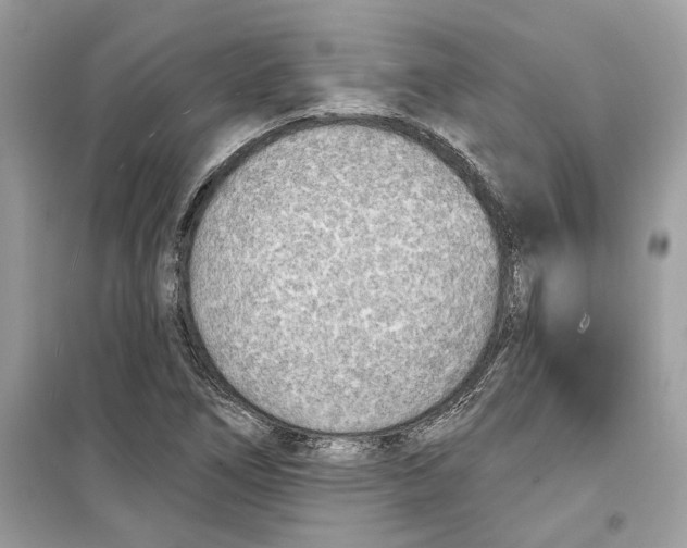 X0000099301266200805231334