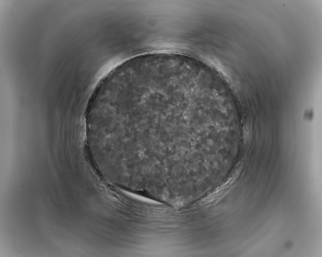 X0000099301267200805231334