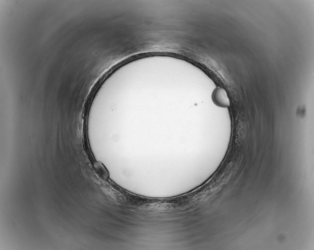 X0000099301268200805231334