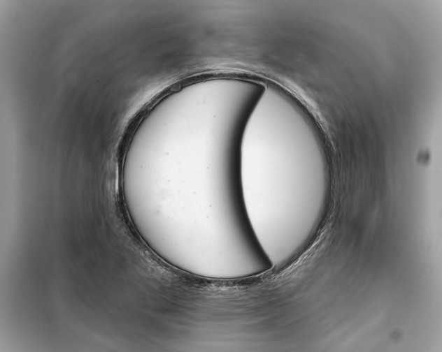 X0000099301269200805231334