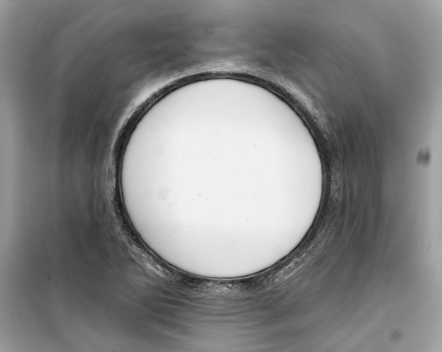 X0000099301270200805231334