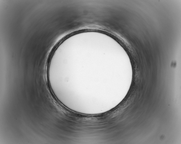 X0000099301272200805231334