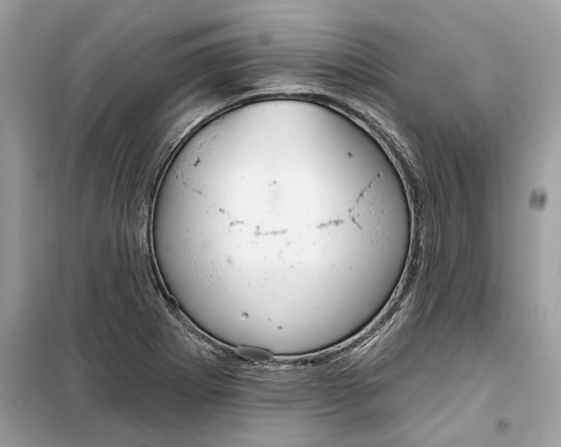 X0000099301273200805231334