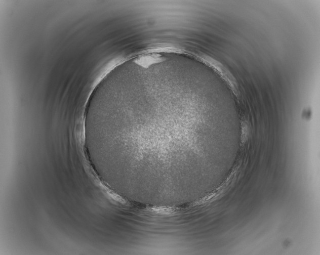 X0000099301274200805231334