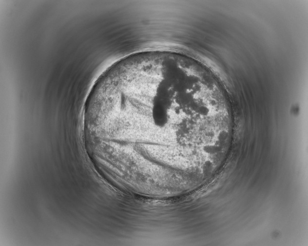 X0000099301275200805231334