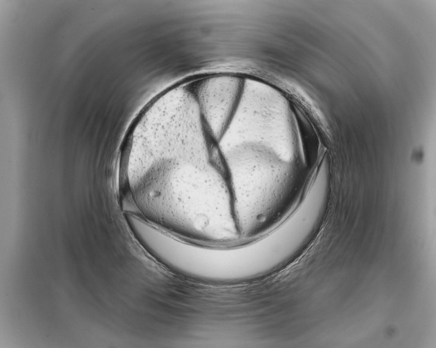 X0000099301276200805231334