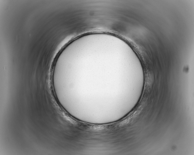 X0000099301278200805231334