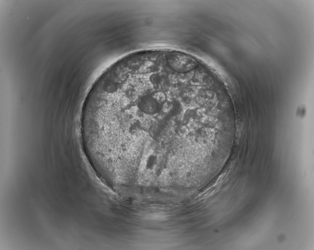 X0000099301279200805231334