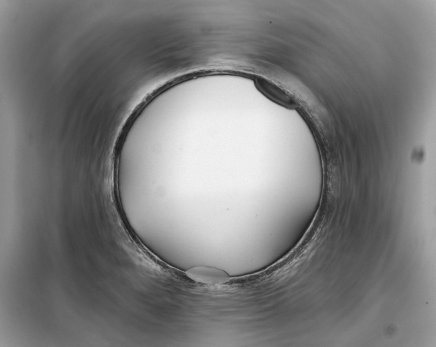 X0000099301280200805231334