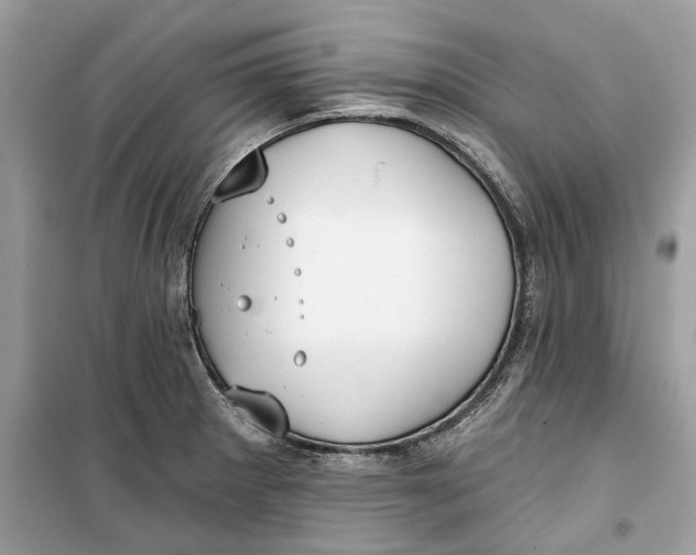 X0000099301281200805231334