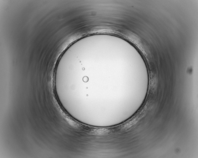 X0000099301282200805231334