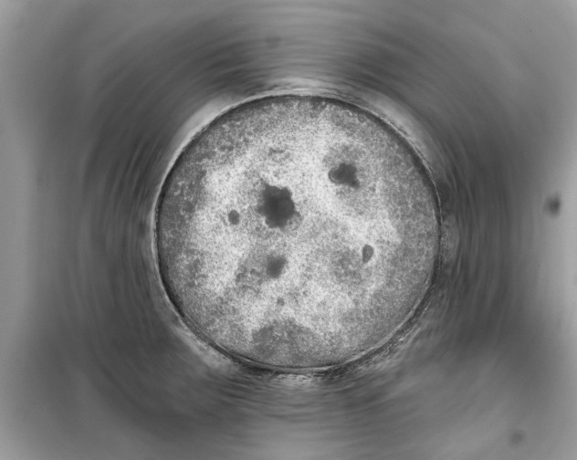 X0000099301283200805231334