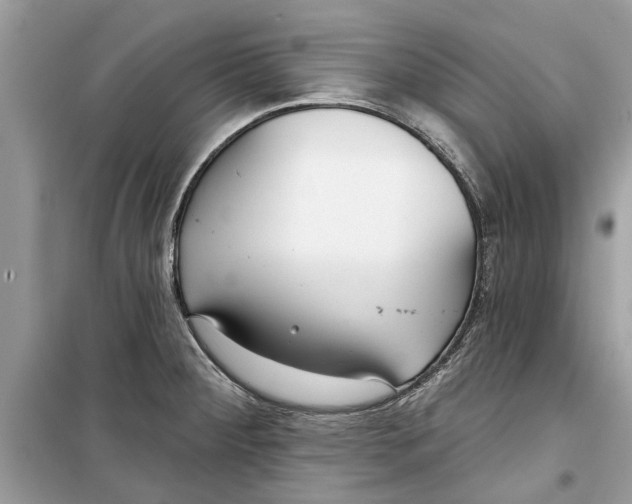 X0000099301284200805231334