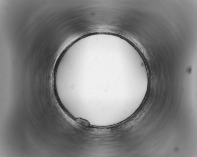 X0000099301285200805231334