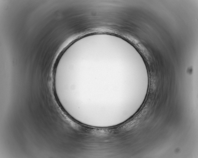 X0000099301286200805231334