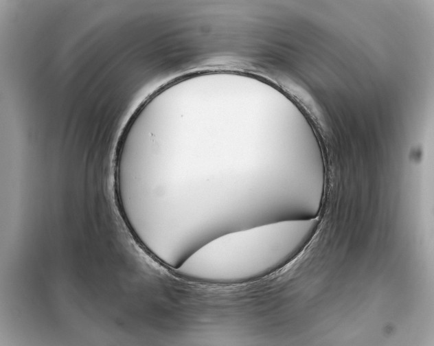 X0000099301288200805231334