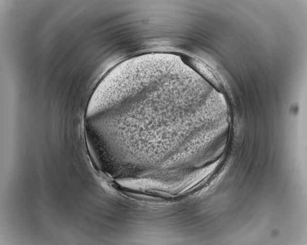 X0000099301289200805231334