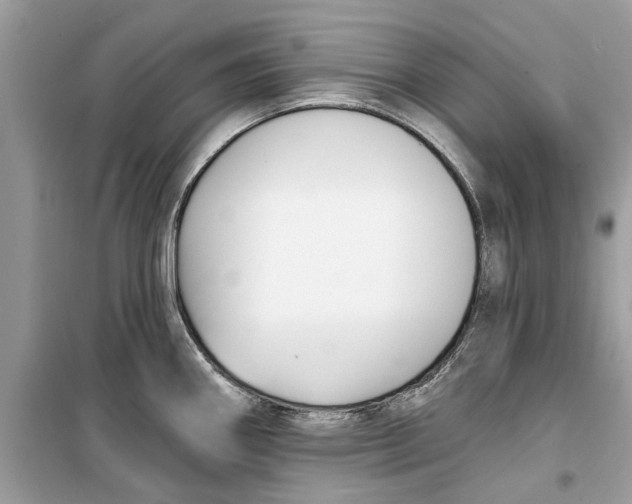 X0000099301290200805231334