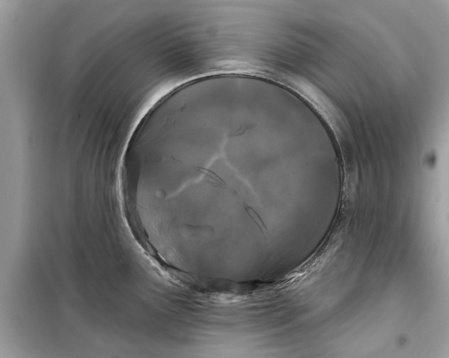 X0000099301291200805231334