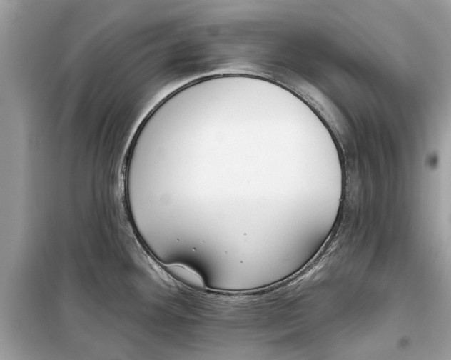 X0000099301292200805231334