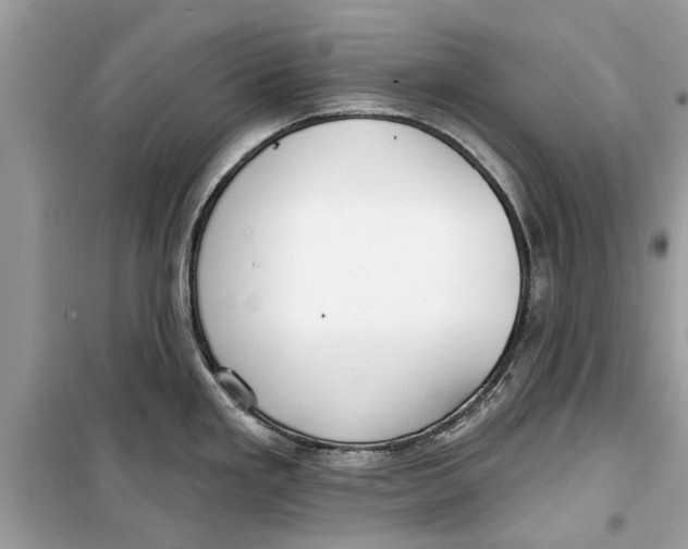 X0000099301293200805231334