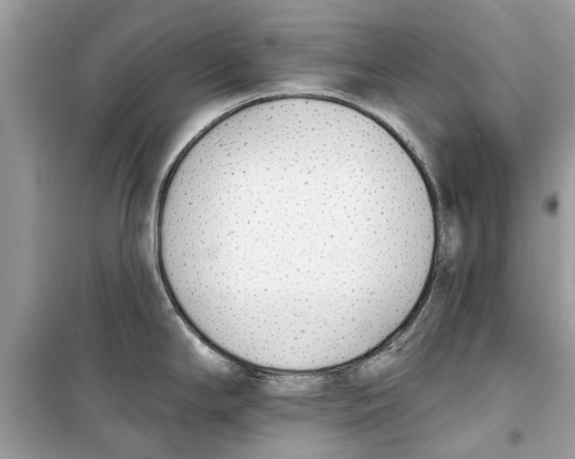 X0000099301294200805231334