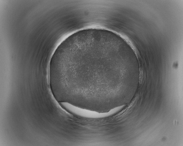 X0000099301295200805231334