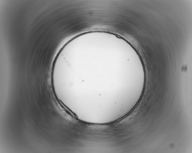 X0000099301296200805231334