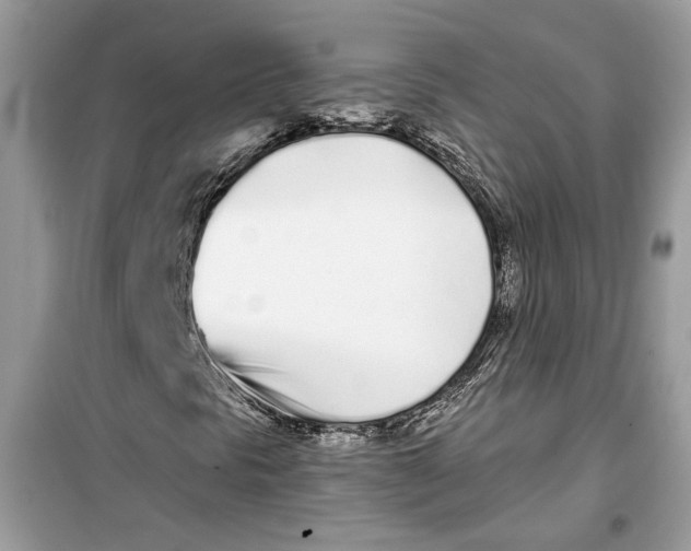 X0000099301297200805231333