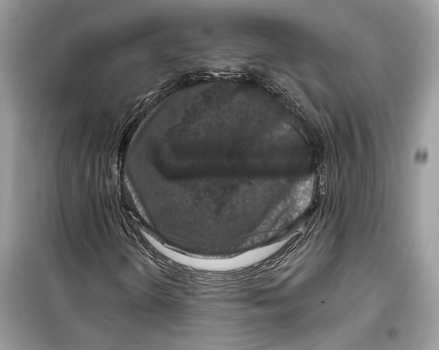 X0000099301298200805231333