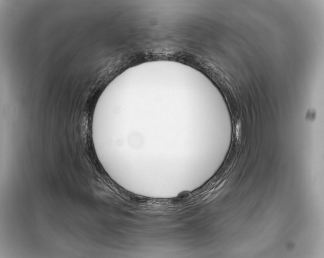 X0000099301299200805231333