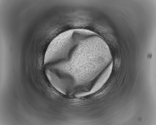 X0000099301300200805231333