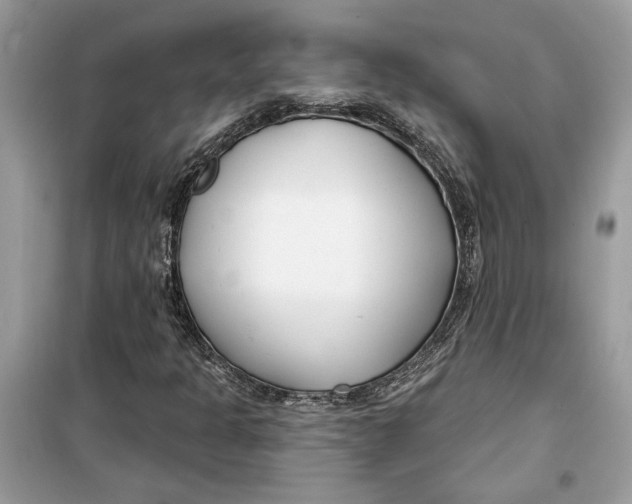 X0000099301301200805231333