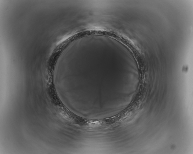 X0000099301303200805231333