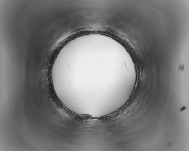 X0000099301304200805231333