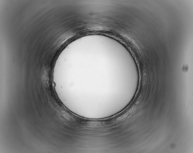 X0000099301305200805231333