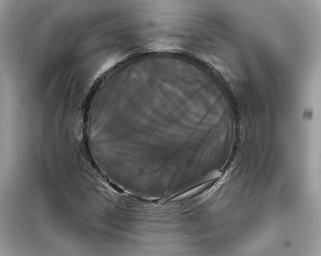 X0000099301306200805231333