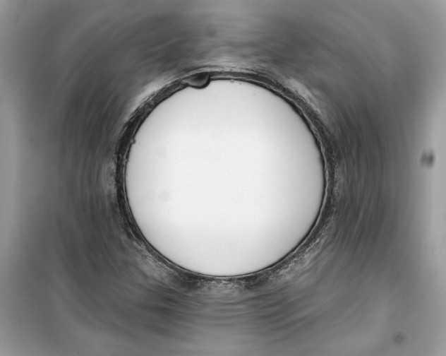 X0000099301307200805231333