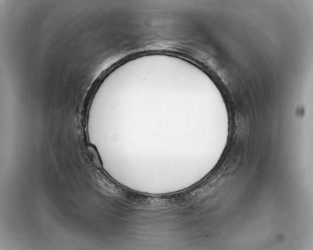 X0000099301308200805231333