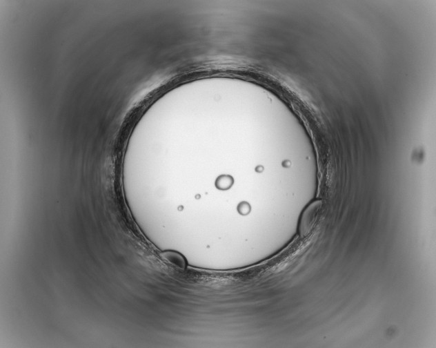 X0000099301309200805231333