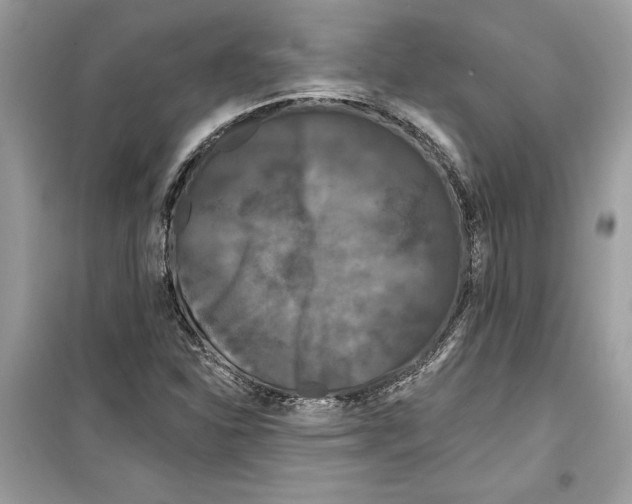 X0000099301310200805231333