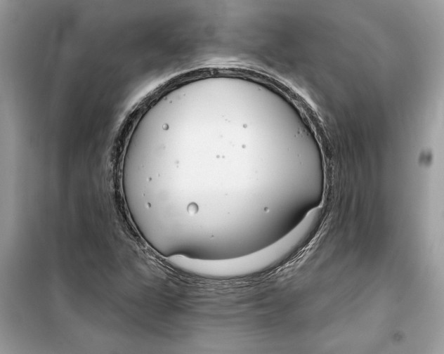 X0000099301311200805231333