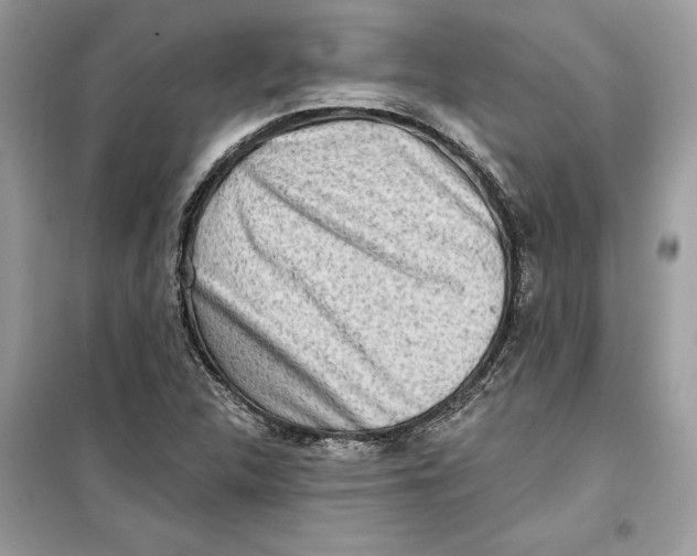 X0000099301312200805231333