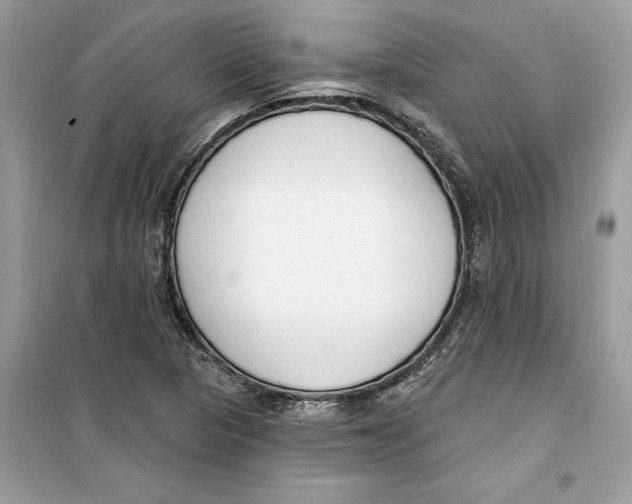 X0000099301313200805231333