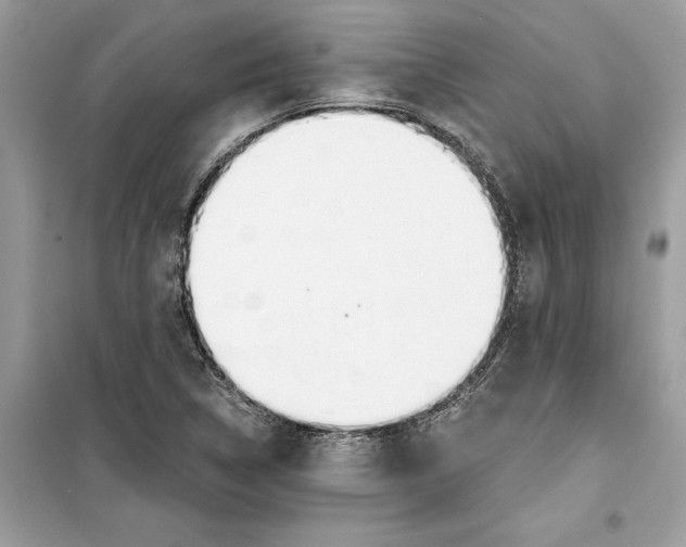 X0000099301314200805231333