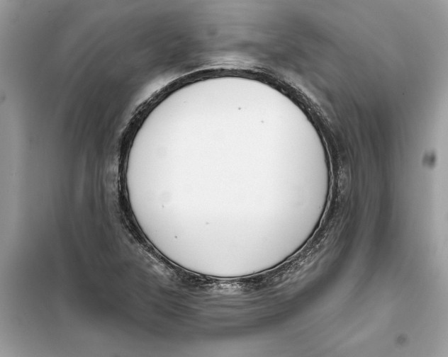 X0000099301315200805231333