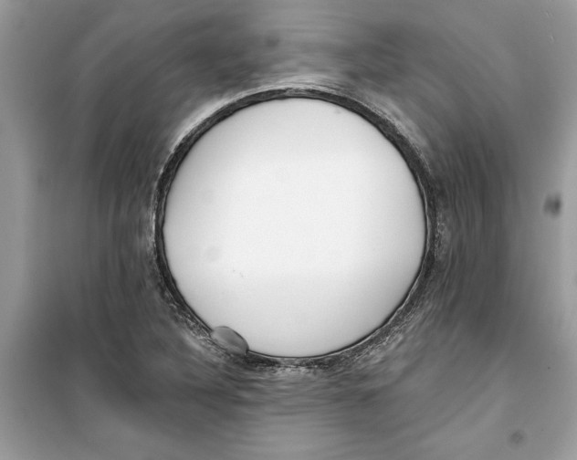 X0000099301316200805231333