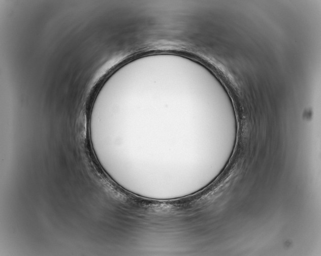 X0000099301317200805231333