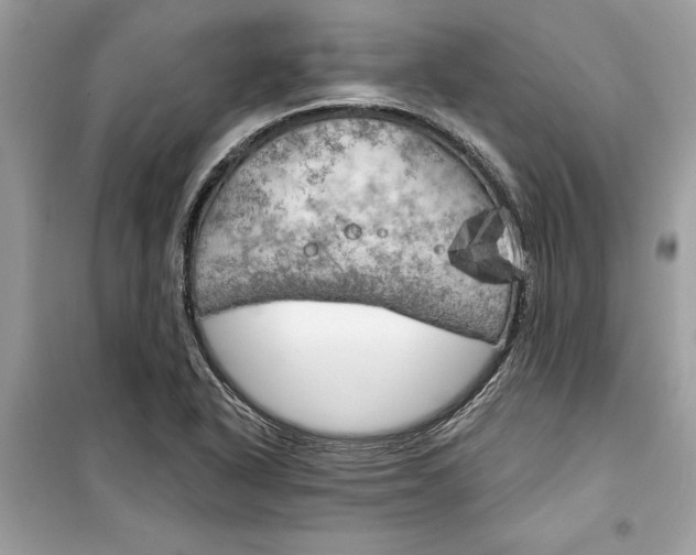 X0000099301318200805231333