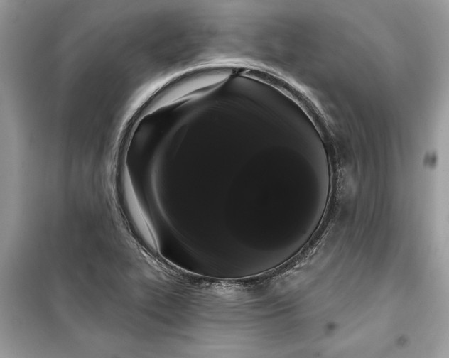 X0000099301319200805231333